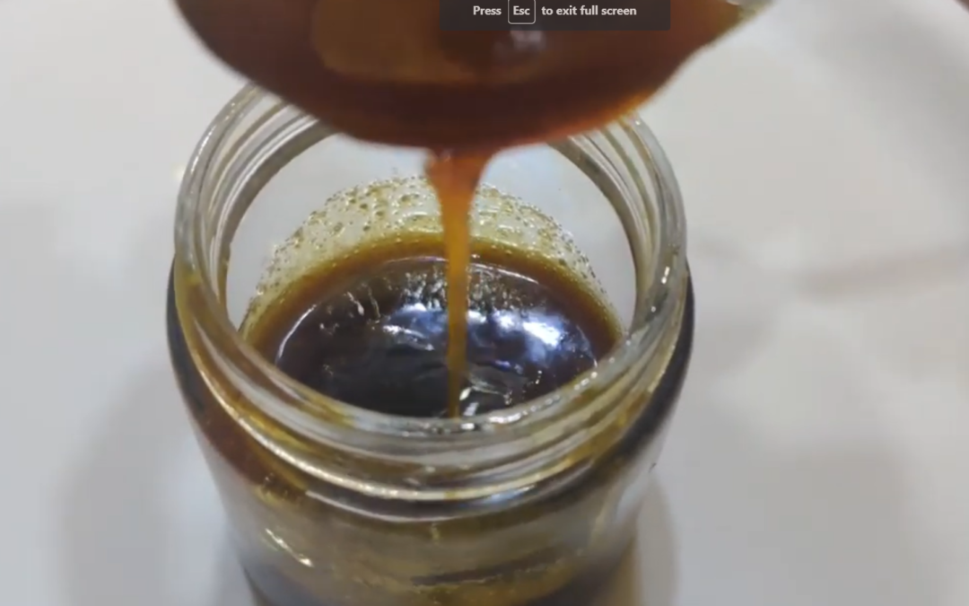 Dates Syrup – A vegan substitute of Honey