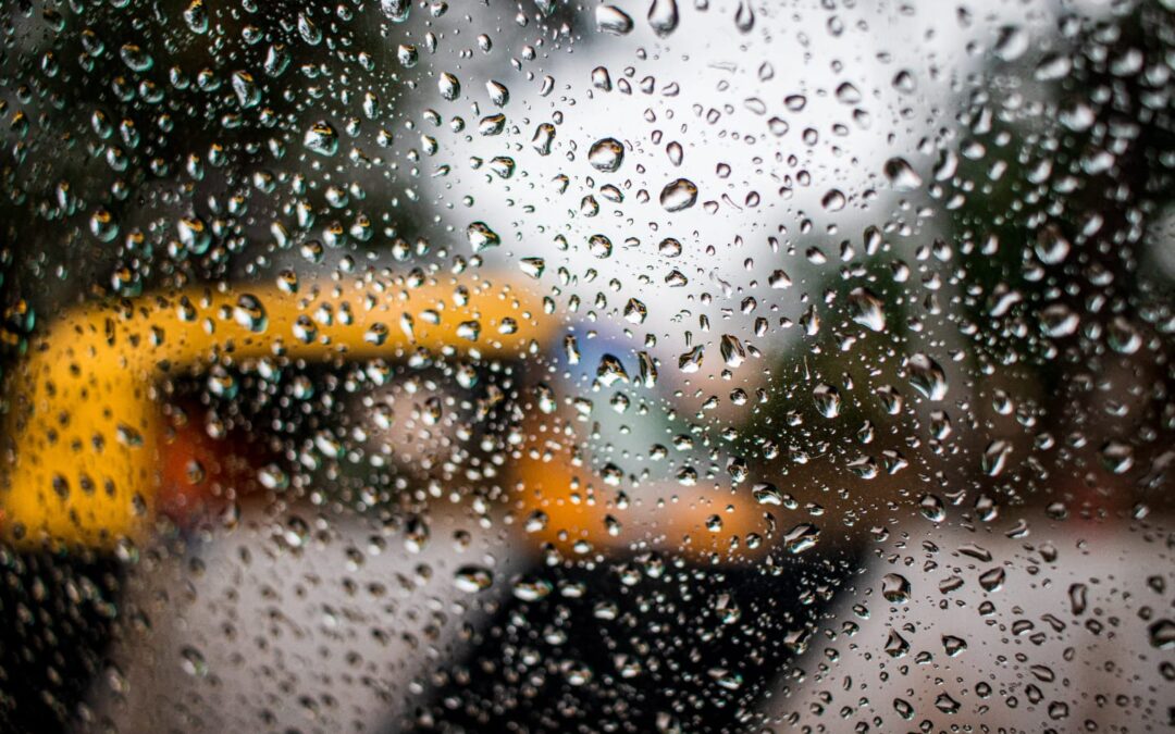 Varsha Ritucharya – Monsoon Do’s & Don’ts